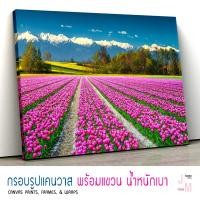 ราคา กรอบลอยแคนวาส ภาพแต่งบ้าน รูปติดผนัง ภาพวิวทุ่งดอกทิปลิว วิวภูเขาหิมะ ภาพธรรมชาติ ตกแต่งบ้านและคาเฟ่ พร้อมแขวน C-0074 (5112301487)