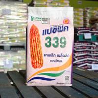 ราคา เมล็ดพันธุ์ข้าวโพดเลี้ยงสัตว์ลูกผสมเดี่ยว ตราแปซิฟิค 339 3.5 เมล็ดพันธุ์ 10 กิโลกรัม (29584232827)