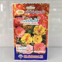 ราคา แพรเซี่ยงไฮ้ ภูเขาทอง (9148888044)