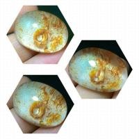 ราคา โป่งข่าม แก้วโป่งข่าม กาบเงิน กาบทอง ดอกไม้สวรรค์ (9736808138)