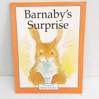 ราคา Barnaby's Surprise นิทานภาษาอังกฤษ มือสอง ปกอ่อน (21473471989)