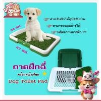 ราคา Boqi factory ถาดฝึกฉี่ แผ่นรองฉี่ ห้องน้ำสุนัข Dog Toilet Pad พร้อมหญ้าเทียม สำหรับฝึกให้สุนัขขับถ่าย รุ่นDS-111 (1958728393)