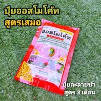 ราคา // ออสโมโค้ท สูตรเสมอ // 100 กรัม // 13-13-13 บำรุงต้นสมบูรณ์ ปุ๋ยเม็ด ปุ๋ยละลายช้า (5770252669)