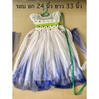 ราคา ชุดเจ้าหญิงเอลซ่า มือสอง สภาพนางฟ้า (27008233146)