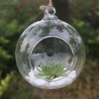 ราคา LIDEEWU ที่วางทีไลท์แบบแขวน, แจกันแก้วแขวนแก้ว Borosilicate ใส, เชิงเทียนแก้ว Ball โปร่งใส 6/8/10/12/15 ซม.Succulents พืช Ball คอนเทนเนอร์สวน (27445001613)
