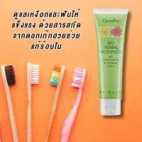 ราคา ยาสีฟันสมุนไพรผสมสารสกัดจากดอกเก๊กฮวย อิชินาเซีย ตรากิฟฟารีน (24722664485)