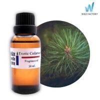 ราคา หัวน้ำหอมเกรดพรีเมียม กลิ่นซีดาร์วูด Exotic Cedarwood Fragrance oil สำหรับเทียนเเละเครื่องสำอาง 30ml/100ml (23771641568)