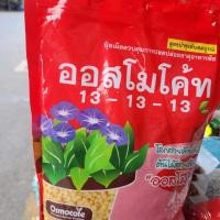 ราคา ปุ๋ยละลายช้าออสโมโค้ท 13-13-13ขนาด1กิโลกรัม เร่งโต (48660863687)