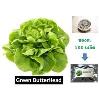 ราคา เมล็ดพันธุ์ผักสลัด Green Butterhead (กรีน บัตเตอร์เฮด) นำเข้าจากต่างประเทศ ชนิดเคลือบ 100 เมล็ด (4515534635)