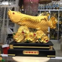 ราคา ปลามังกร ปลามงคลแห่งโชคลาภ และความมั่งคั่ง (6910769909)