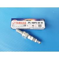 ราคา หัวเทียวอิริเดียมCR9EIX/05 R15,M-Slaz อะไหล่แท้ศูนย์YAMAHA(2PL-NGKPS-QB-WH)1ชิ้น (21290027634)