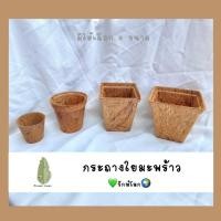 ราคา กระถางใยมะพร้าว กระถางปลูกต้นไม้ รักษ์โลก (12250581398)