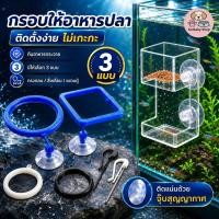 ราคา 【FurBaby】พร้อมส่ง COD เครื่องให้อาหารปลา ห่วงให้อาหารปลา กรวยให้อาหารปลา อะคริลิคแบบใส ทรงสี่เหลี่ยม ทรงกลม ลอยน้ำ (48560027401)