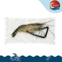ราคา กุ้งแม่น้ำแช่แข็ง (Frozen Fresh Water Prawn) 300-350 G (56052991225)