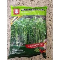 ราคา เมล็ดผักบุ้งจีน เขียวใบไผ่แท้ ตรา น้ำเต้า ขนาด 1 กิโลกรัม เมล็ดผักบุ้ง (27334132480)