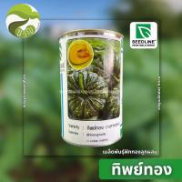 ราคา เมล็ดพันธุ์ ฟักทอง ลายข้าวตอก ลูกผสม ฟักทอง ทิพย์ทอง ตรา ซีดไลน์ ขนาด 100 กรัม (8168913912)
