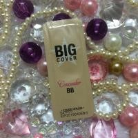 ราคา Etude House Big Cover Concealer BB SPF50+/PA+++ (68114645)