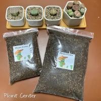 ราคา Plants Center ดินปลูกไลทอป lithop ไม้อวบน้ำ succulent(ผสมเสร็จพร้อมใช้) shengshihuatu (5757754335)