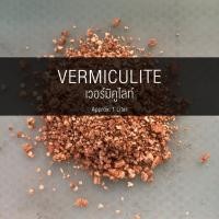 ราคา เวอร์มิคูไลท์ (VERMICULITE) 1 ลิตร (7925605341)