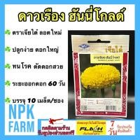 ราคา เจียไต๋ ดาวเรือง ฮันนี่โกลด์ หมดอายุ 03/2569 จำนวน 10 เมล็ด/ซอง ลอตใหม่ ดอกใหญ่ ตัดดอกสวย ทนโรค (26830910490)