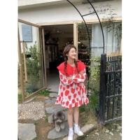 ราคา ทักแชท ก่อนสั่งซื้อค่ะ ***ส่งต่อ งานป้าย YPY งานตรงป้าย เดรสสั้นลายหัวใจคอปกแขนยาว งานทรงปล่อยๆ (14705466286)