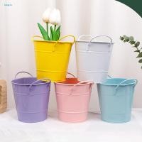 ราคา ปังลา| ลูกอม สีกระถางดอกไม้ที่มีสีสันเหล็กกระถางดอกไม้ที่มีสีสันเหล็กขนาดเล็กกระถางดอกไม้ที่มีการจัดการ-ใช้ถังโลหะลูกอมสีสําหรับพืชผู้ถือปากกาสวนบ้ (53958758719)