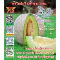 ราคา คิสมี (Kissme) 100 เมล็ด เมล่อนF1 เทพมงคลฟาร์ม แท้!! (43920724197)