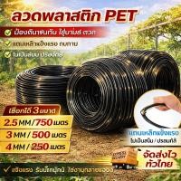 ราคา ลวดพลาสติก PET เกรดเกษตร แข็งแรง ทนแดด ทนฝน ไม่เป็นสนิม ใช้มัดต้นไม้ ค้างผัก ดัดบอนไซ ขายยกม้วน ราคาส่ง (44429456757)