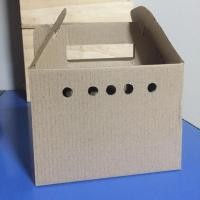ราคา wow กล่องแพ็คสัตว์เล็กเลี้ยง ขนาด 10.5×15×11.5cm. ใช้ใส่หนู,เม่นแคระ,กระรอก จัดส่งทุกวัน (55408609953)