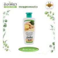 ราคา แชมพู แชมพูสมุนไพร แชมพูเร่งผมยาว ขิงเพียว แชมพูลดผมร่วง แชมพูขจัดรังแค บำรุงรากผมและหนังศรีษะ ขนาด 250 มล. (11952173001)