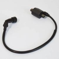 ราคา Ignition Coil Iignitor 250cc ATV250 for puma JIANSHE LONCIN bashan rato ATV QUAD buggy (40677587608)