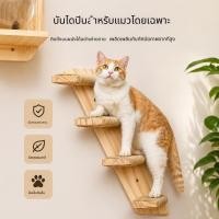 ราคา คอนโดแมวไม้จริง ประหยัดพื้นที่ ใช้ในบ้าน แบบติดผนัง พร้อมบันได ที่นอน รวมอุปกรณ์ครบชุด Z4OE (52661236592)