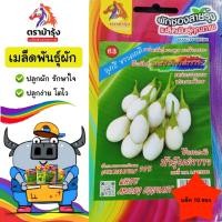 ราคา ขายปลีก เมล็ดพันธุ์ ผัก *แพ็ค10ซอง*ตราม้ารุ้ง Z063 มะเขือไข่เต่าขาว เมล็ดพันธุ์ เมล็ดผัก ผักซอง ม้ารุ้ง ผักสวนครัว (41723439935)