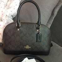 ราคา Coach Dome mini อปก.ครบ (2804557678)