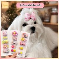 ราคา กิ๊บติดขนสัตว์เลี้ยงน่ารัก เครื่องประดับผมหมาแมว กิ๊บติดขนไม่ดึงขน สำหรับชิสุ ปอม ชิวาวา โกลเด้น (51853561068)
