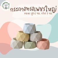 ราคา กระถางแคคตัส กระถางปูนทรงเพชรใหญ่ สูง 6 cm กว้าง 7 cm กระถางกระบองเพชร กระถางตะบองเพชร ไม่ขึ้นเชื้อรา (21643313713)