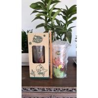 ราคา แก้วเปลี่ยนสี Amazon ""เที่ยวไทย"" : ลาย Thailand (สีส้ม) (17126532564)