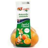 ราคา ส้มแมนดารินแพค 500กรัม Mandarin Pack 500g. [หมายเลขบาร์โค้ด 0000048562607 ] สินค้าคุณภาพดี คัดสรรอย่างตั้งใจ (57103158465)