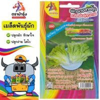 ราคา ขายปลีก เมล็ดพันธุ์ ผัก *แพ็ค5ซอง*ม้ารุ้ง Z260 ผักกาดหอมอิตาลี เมล็ดพันธุ์ เมล็ดผัก ผักซอง ม้ารุ้ง ผักสวนครัว (54100083157)