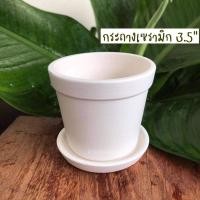 ราคา กระถางต้นไม้ เซรามิก ขนาด3.5" กระถางแคตตัส กระถางพร้อมจานรอง กระถางปลูกต้นไม้ กระถางดินเผา กระถางสีขาว กระถางมีรู (10209751014)