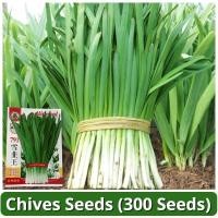 ราคา 300เมล็ด/แพ็ค เมล็ดพันธุ์ กุยช่าย Chinese Chives Seed Organic Vegetable Seeds for Planting เมล็ดกุ้ยช่าย เมล็ดพันธุ์ผัก (47910440372)