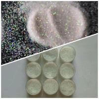 ราคา กระถางกากเพชร1ใบพร้อมกากเพชรสีรุ้ง (24624370546)