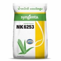 ราคา เมล็ดข้าวโพด เอ็นเค NK 6253 เบอร์ 3.5 และ 3 หุน (กลมกลาง และ กลมเล็ก) (10 กก.) ต้นแข็งดี สีได้เนื้อ (11922772983)