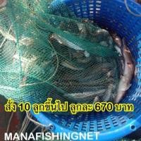 ราคา แหจับปลา ตาข่ายดักปลา ที่ดักกุ้ง ไอ้โง่สี่เหลี่ยม ตัวยาว 8 เมตร ตาถี่ 1.5 เซน มีทางเข้าซ้าย-ขวา พับเก็บได้ (11613248302)
