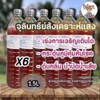 ราคา ส่งฟรี!!! ส่งจุลินทรีย์สังเคราะห์แสง PSB ขนาด1.5L ชุด6ขวด (25890580848)