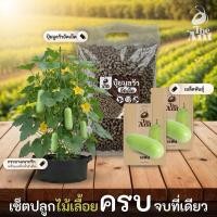 ราคา ชุดปลูกแฟง เซตปลูกไม้เลื้อย4 พร้อมเมล็ดพันธุ์ออร์แกนิค เมล็ดพันธุ์หายาก เมล็ดพันธุ์นำเข้า (48756660431)