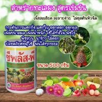 ราคา สาหร่ายทะเลผง (100กรัม/500กรัม)ไซโตไคนิน ช่วยแบ่งเซลล์พืชและขยายเซลล์พืช แตกตาใบเปิดตาดอก ฟื้นต้นหลังเก็บเกี่ยว ซีพลัสพี (8051456661)