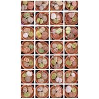ราคา Lithops ไลทอป ลิทอป ไลทอปส่งทั้งกระถาง จัดชุดไลทอป (41-60) (6392888305)