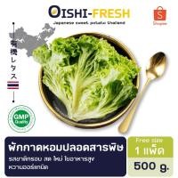 ราคา Oishi-Fresh ผักกาดหอมจีน ปลอดสารพิษ 1 กก. รสชาติกรอบ สด ใหม่ ใยอาหารสูง หวานออร์แกนิค เคลมได้ 1-2 วัน (26972359237)