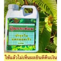 ราคา หัวเชื่อปุ๋ย กระท่อม เร่งแตกยอด ต้นโตไว5เท่า (14322352482)